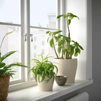 Macetero, beige claro